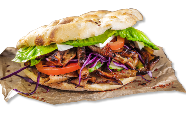 K&ouml;stlicher Kebap mit Celtra Food D&ouml;ner aus der Schweiz
